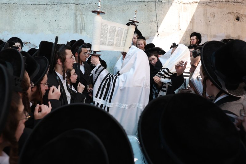 דוד כהן