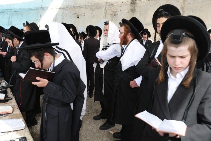 דוד כהן