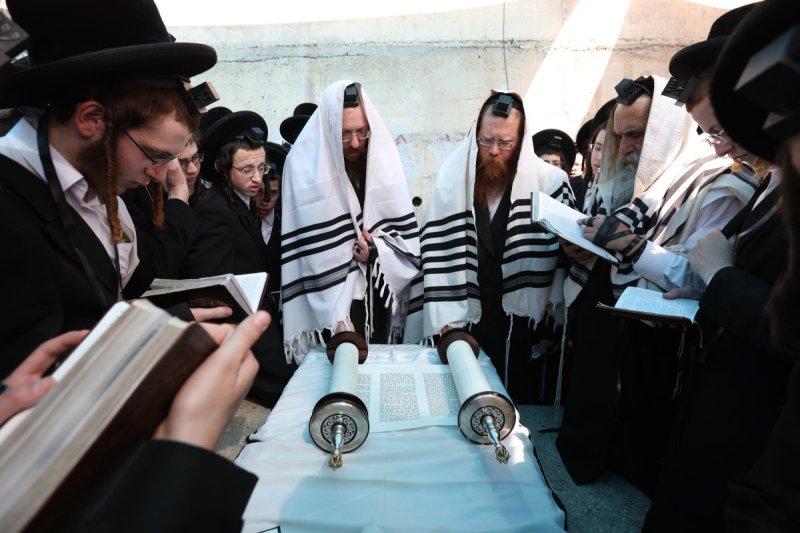 דוד כהן
