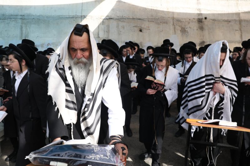 דוד כהן