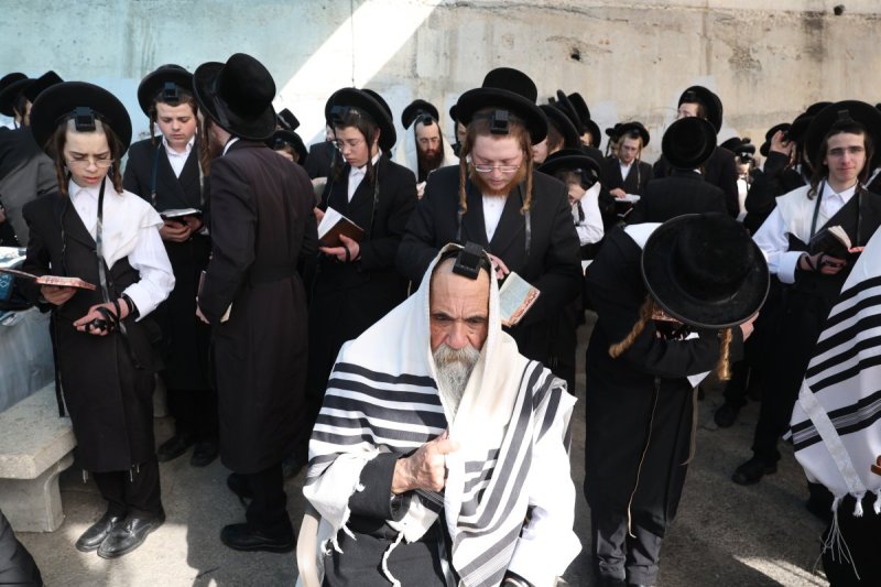 דוד כהן