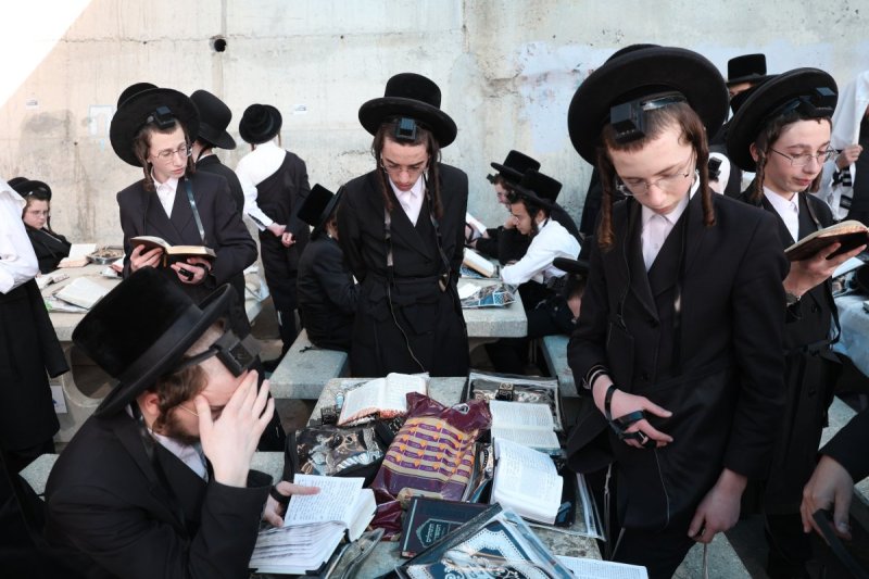 דוד כהן