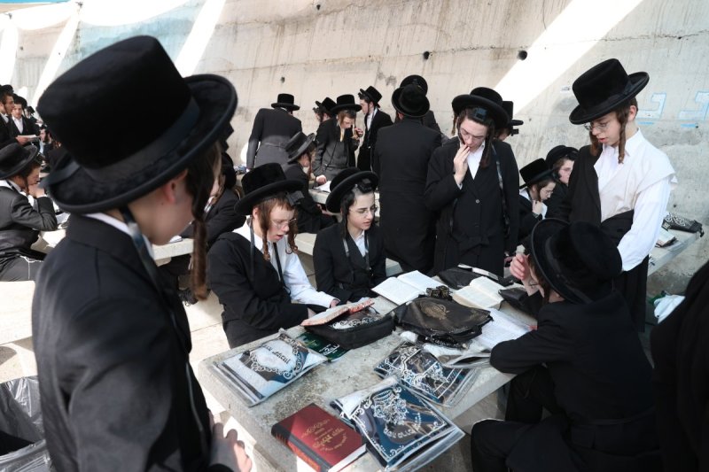 דוד כהן