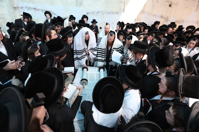 דוד כהן