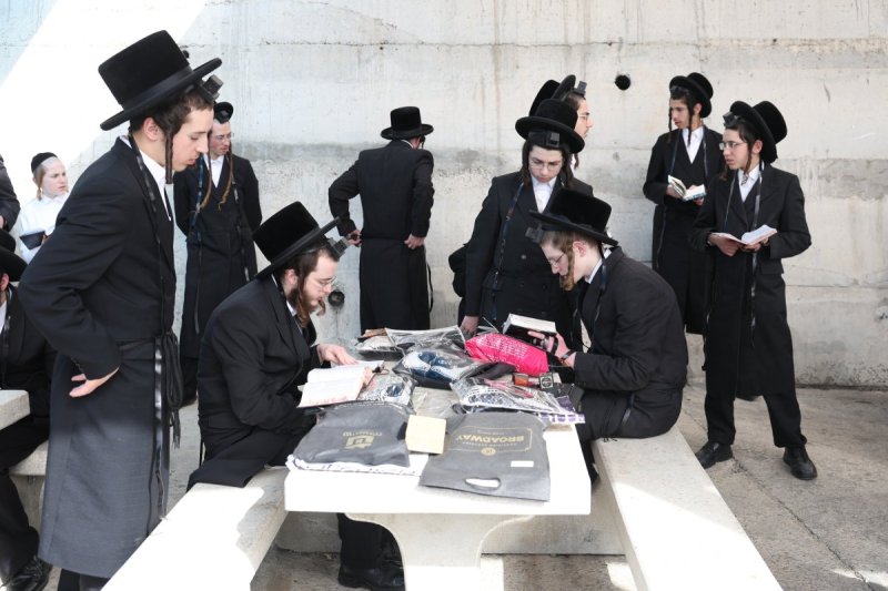 דוד כהן