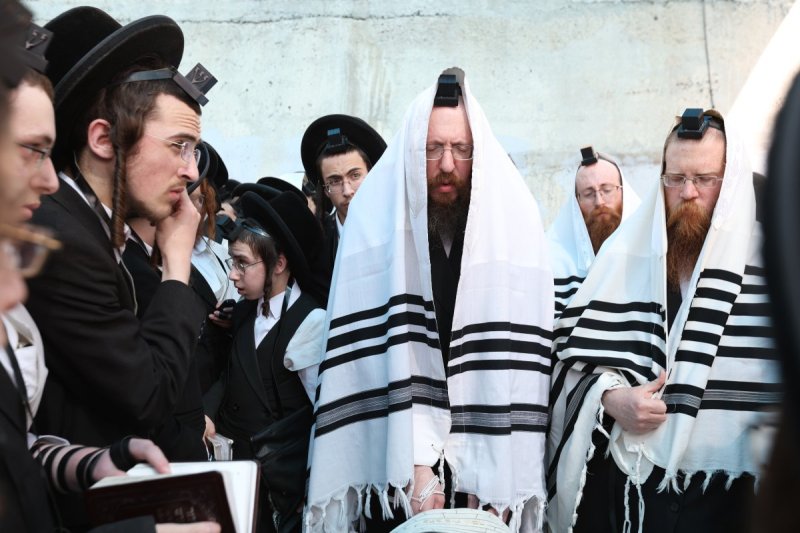 דוד כהן