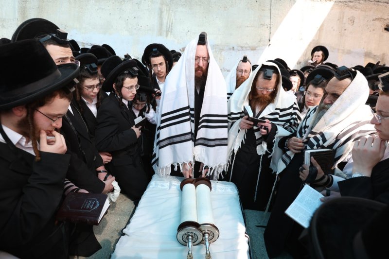 דוד כהן