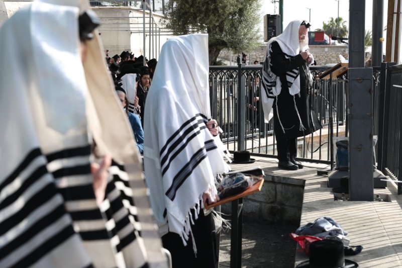 דוד כהן