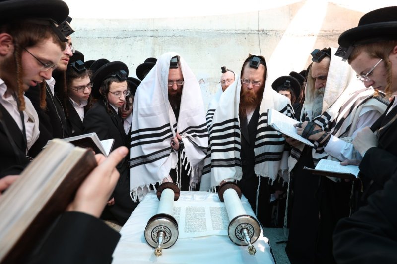 דוד כהן