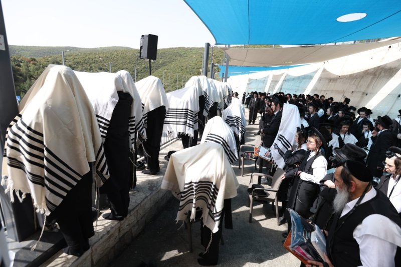 דוד כהן