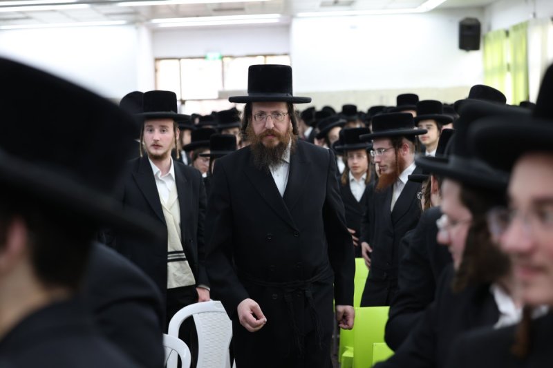 דוד כהן
