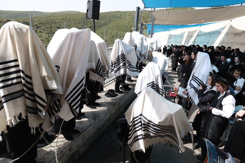 דוד כהן