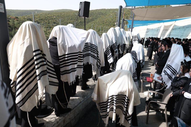 דוד כהן