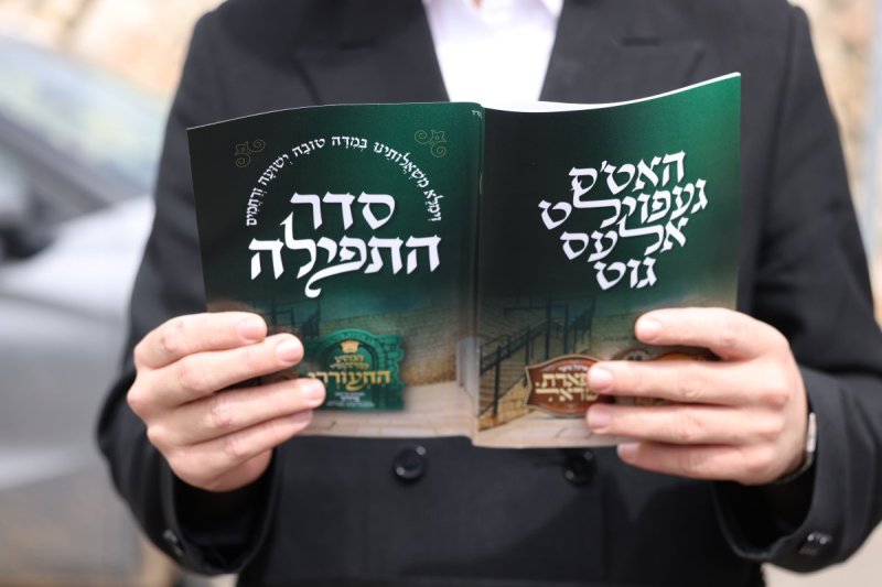דוד כהן