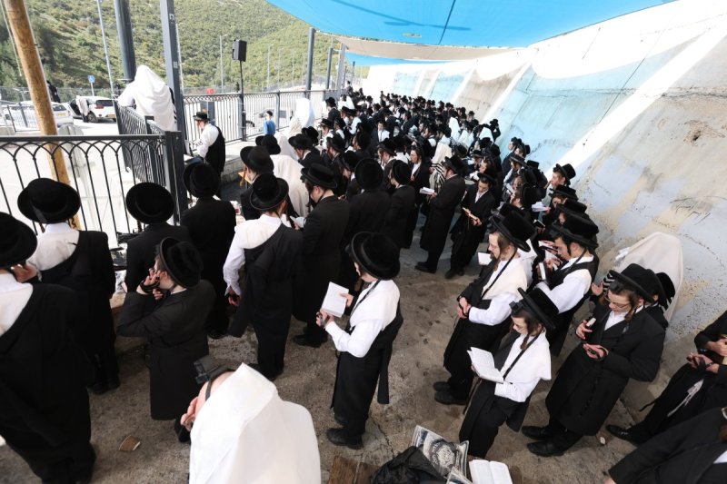 דוד כהן
