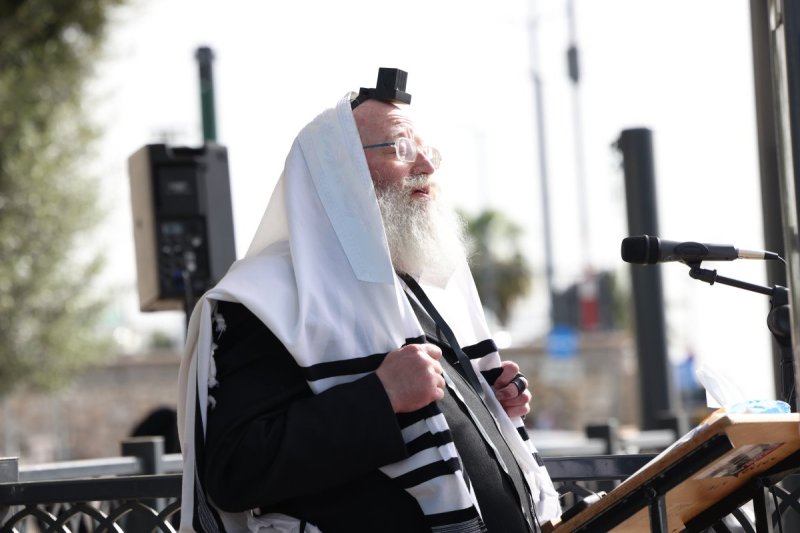 דוד כהן