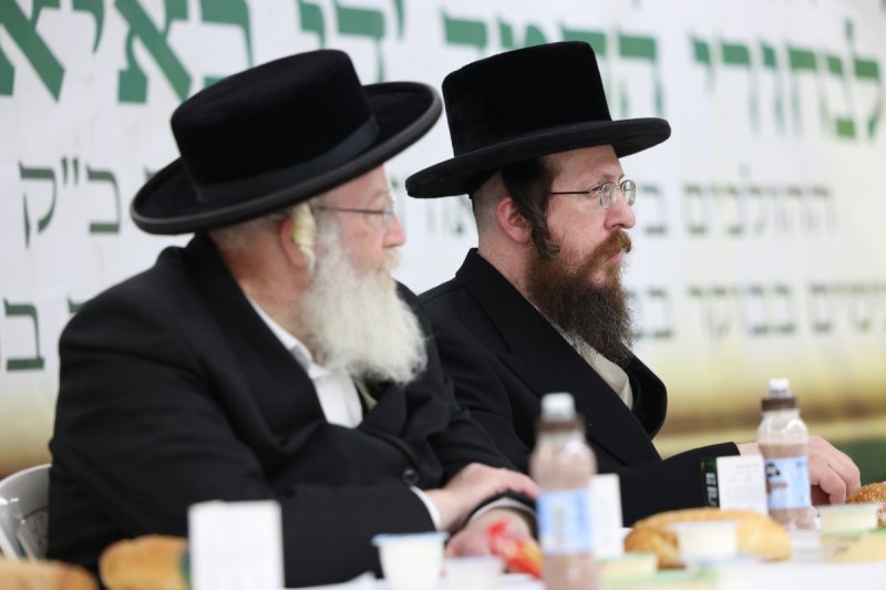 דוד כהן