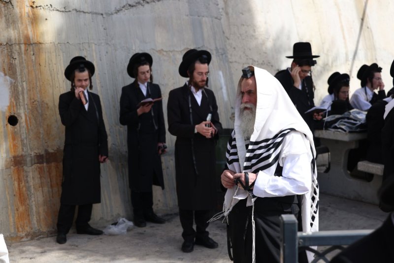 דוד כהן