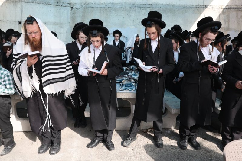 דוד כהן