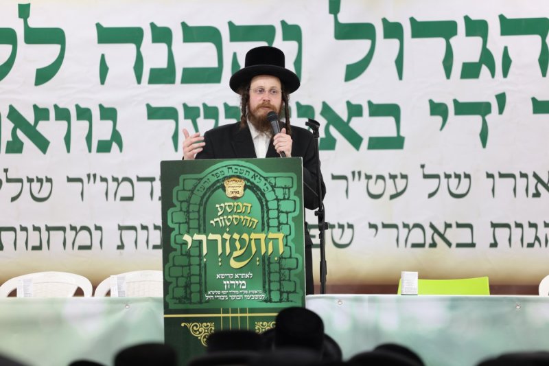 דוד כהן