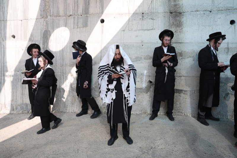 דוד כהן