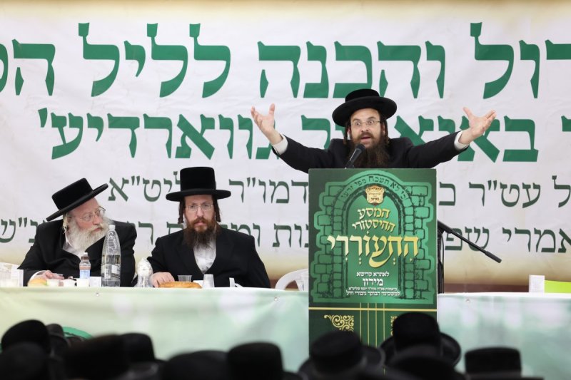 דוד כהן