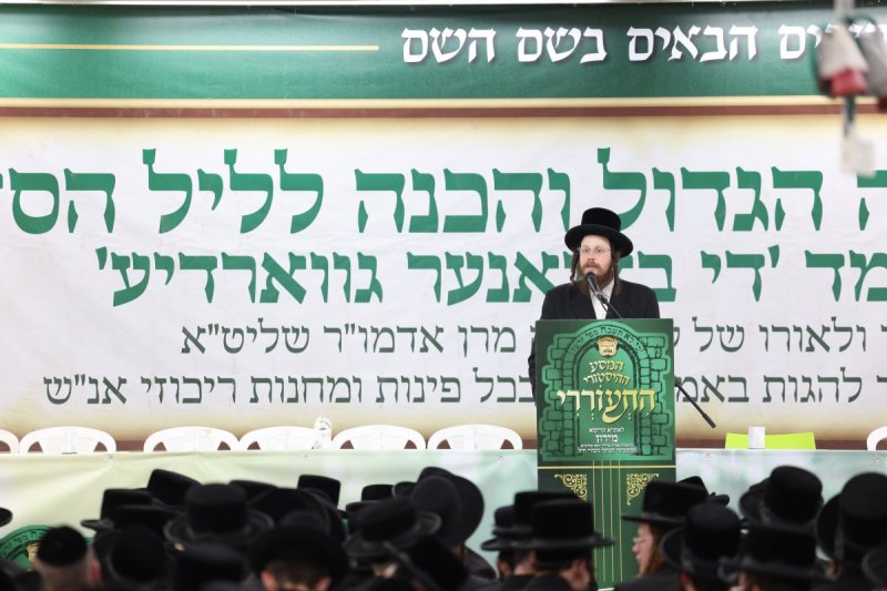 דוד כהן
