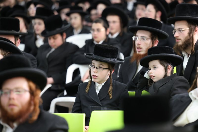 דוד כהן