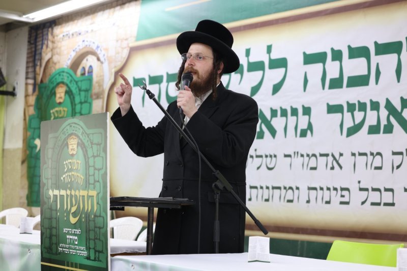 דוד כהן