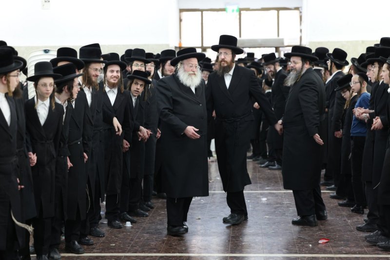 דוד כהן
