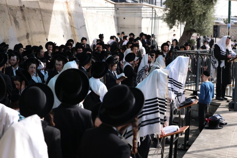 דוד כהן