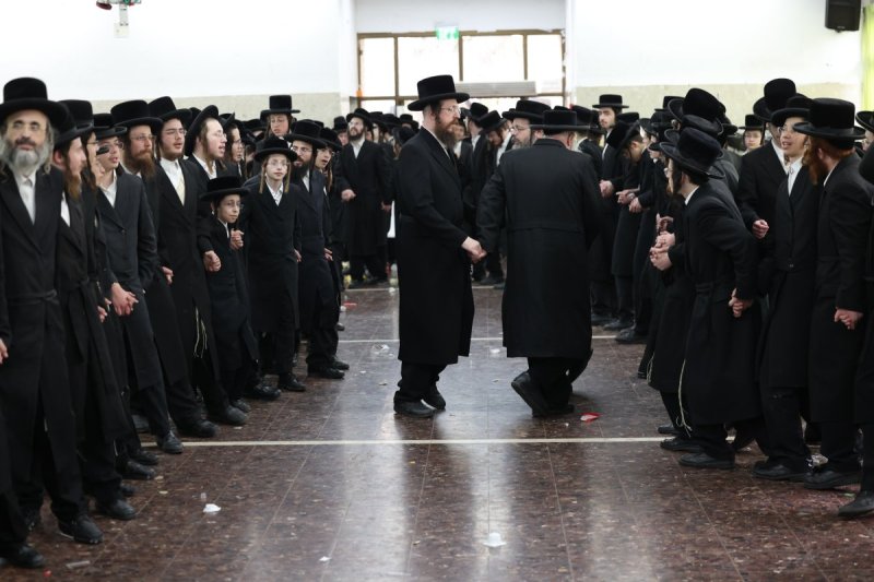 דוד כהן