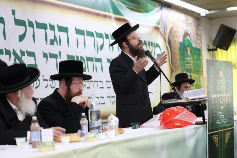דוד כהן
