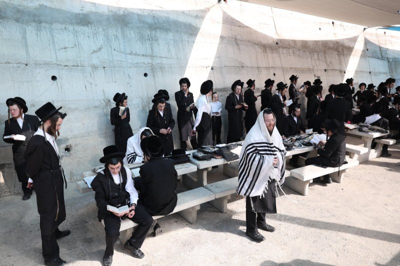 דוד כהן