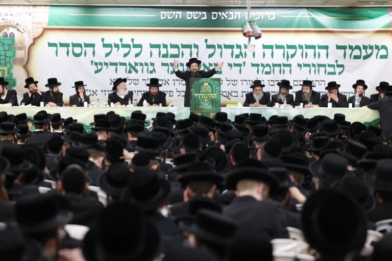 דוד כהן