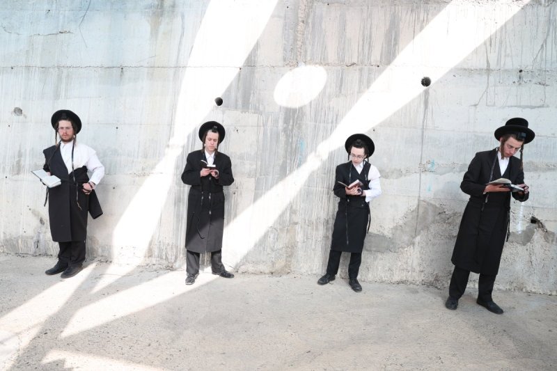 דוד כהן