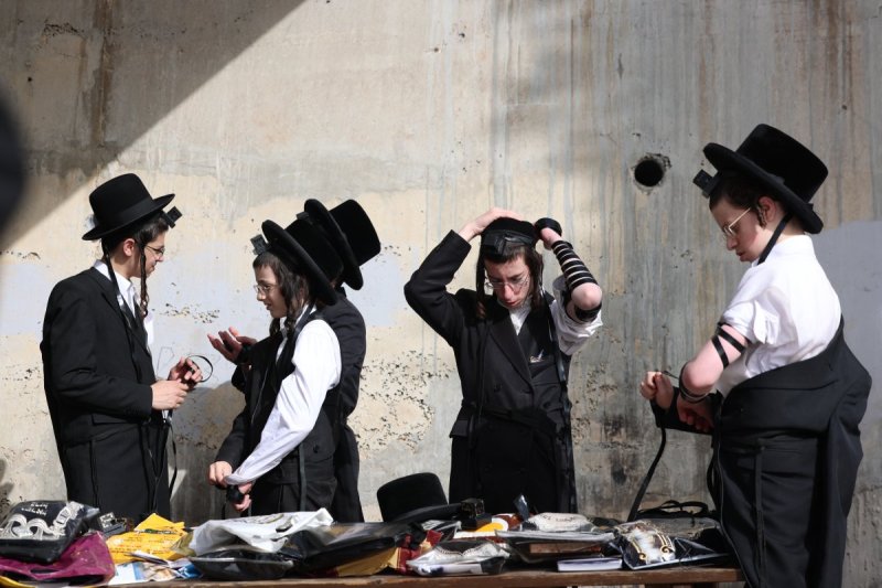 דוד כהן
