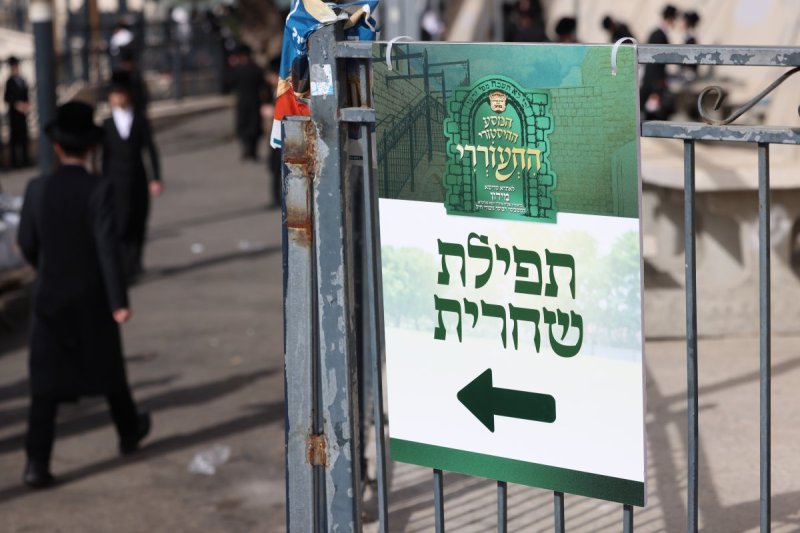דוד כהן