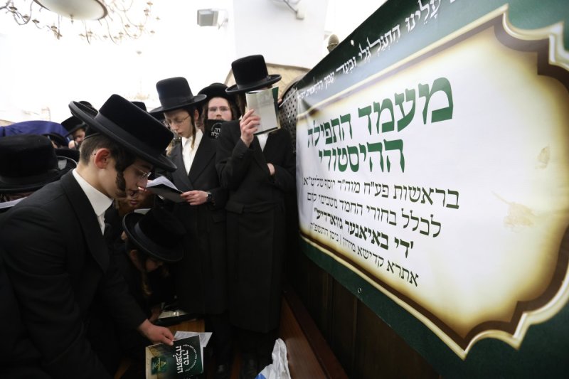 דוד כהן