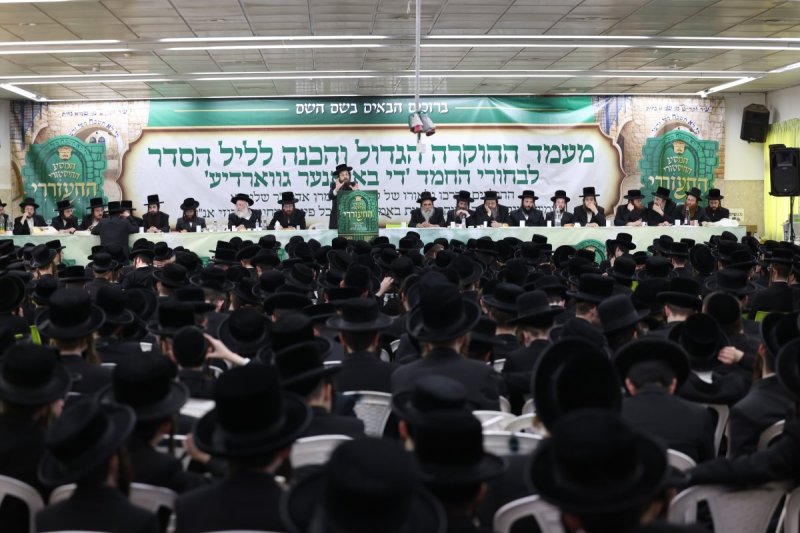 דוד כהן
