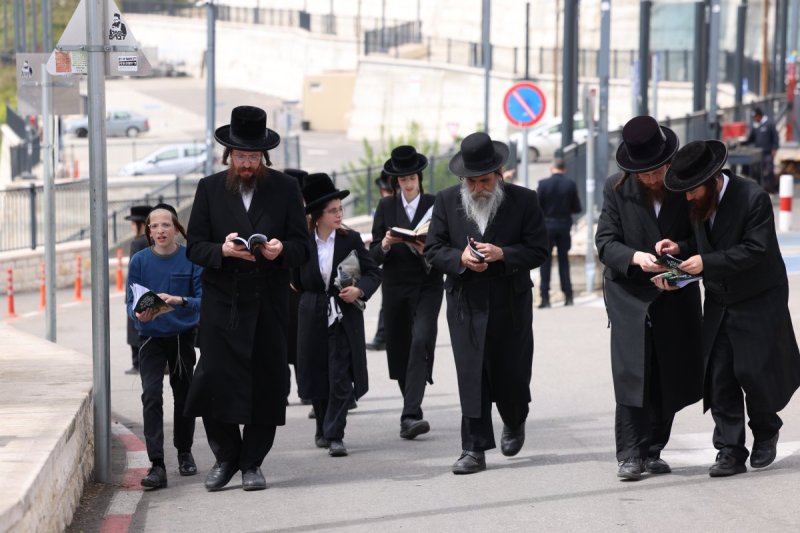 דוד כהן