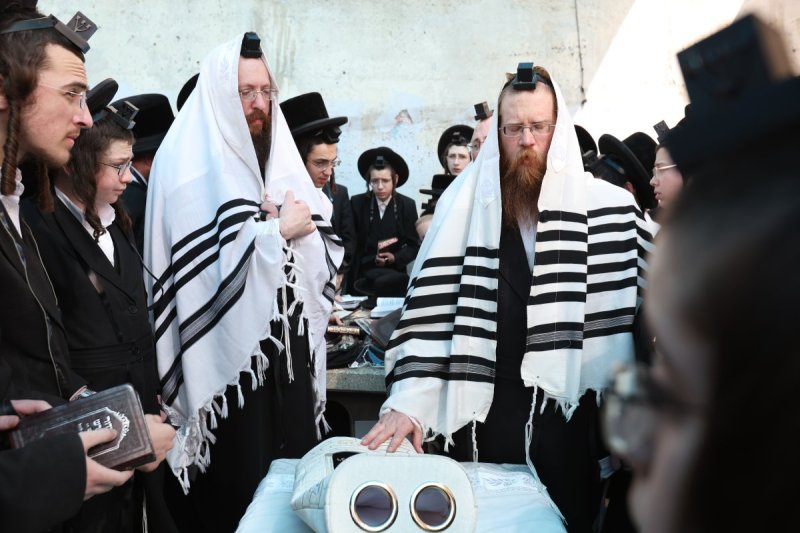 דוד כהן