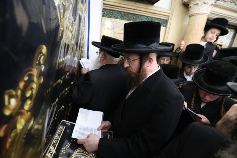 דוד כהן