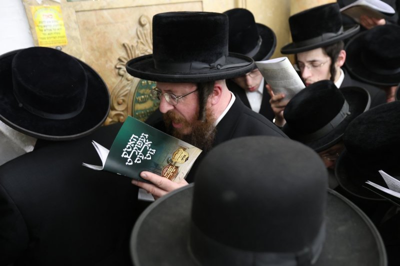 דוד כהן