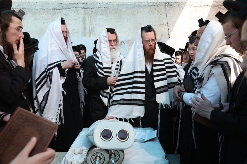 דוד כהן