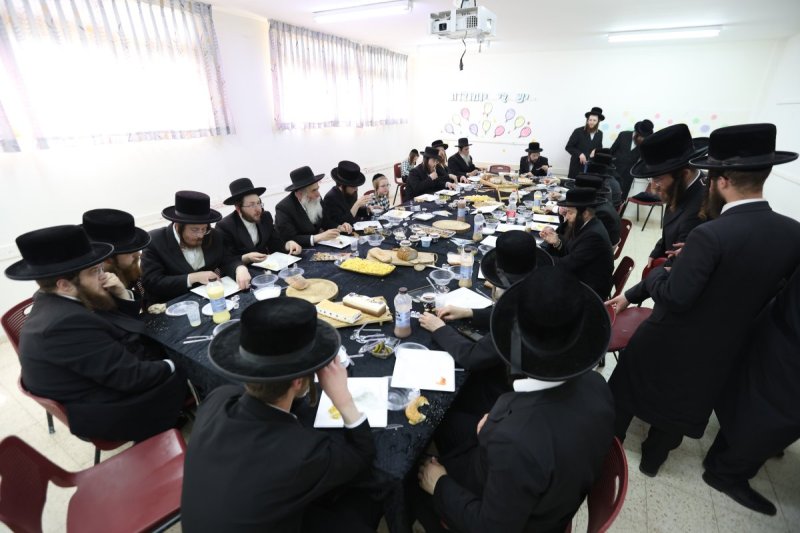 דוד כהן