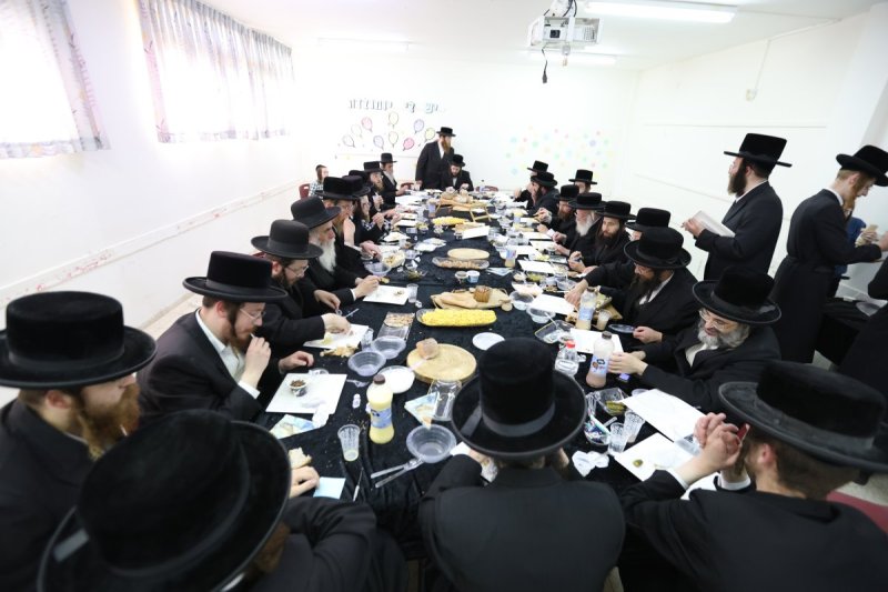 דוד כהן