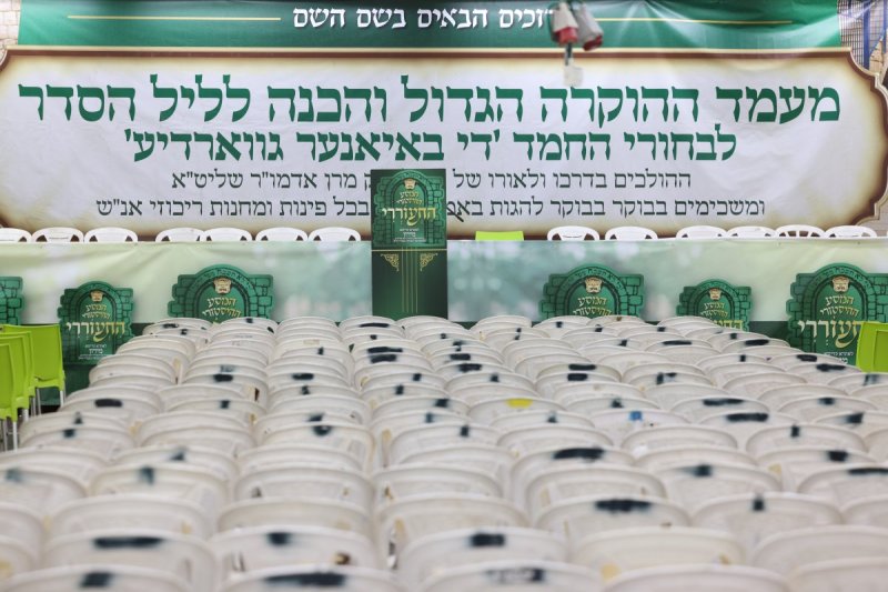 דוד כהן