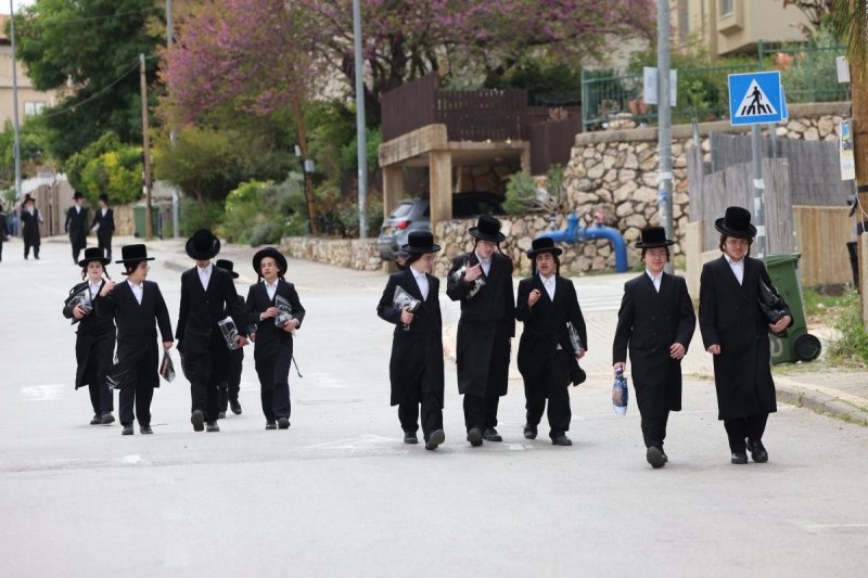 דוד כהן