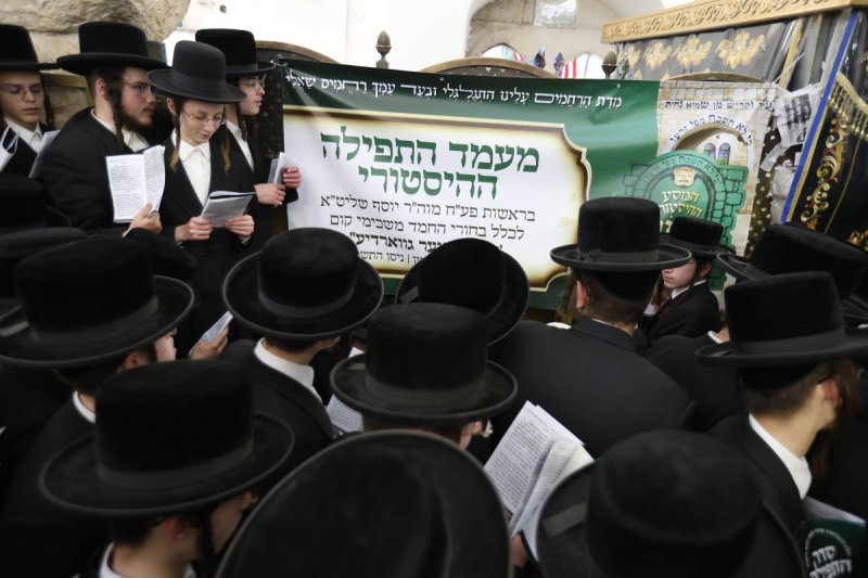 דוד כהן